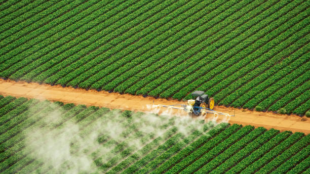 Insect Control in Little River Academy, TX